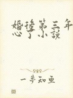 婚后第三年她变心了小说