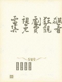 电视剧狂飙40集免费观看全集封面