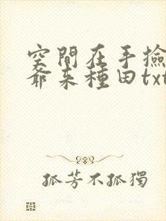 空间在手捡个王爷来种田txt