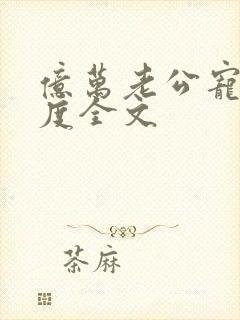 亿万老公宠妻无度全文