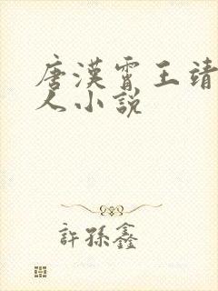 唐汉霄王靖雯同人小说