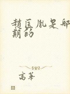 赵匡胤是哪个时期的封面