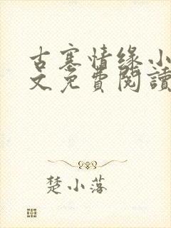 古寨情缘小说全文免费阅读