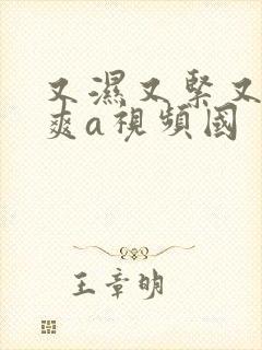 又湿又紧又大又爽a视频国封面