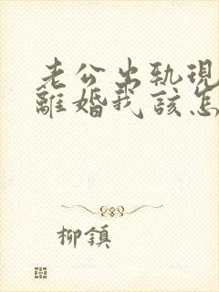 老公出轨现在要离婚我该怎么做