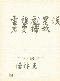 电视剧星汉灿烂免费播放