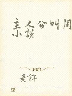 主人公叫周平的小说