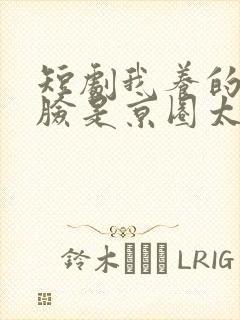 短剧我养的小白脸是京圈太子爷封面