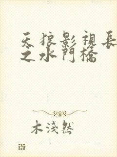 天狼影视长津湖之水门桥