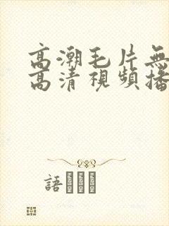 高潮毛片无遮挡高清视频播放封面