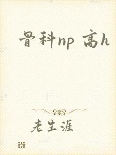骨科np 高h