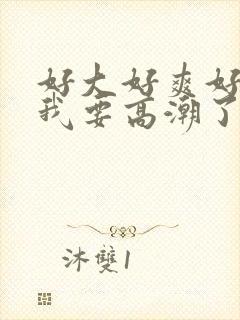 好大好爽好舒服我要高潮了