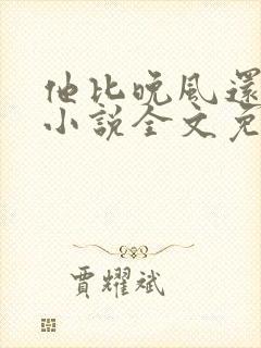 他比晚风还温柔小说全文免费阅读