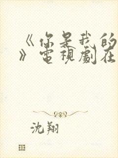 《你是我的荣耀》电视剧在线观看封面