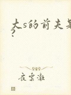 大s的前夫是谁?