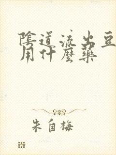 阴道流出豆腐渣用什么药