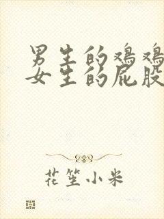 男生的鸡鸡捅进女生的屁股