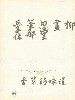 爱笔思画柳叶笔在哪里