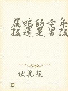 属蛇的今年生女孩还是男孩封面