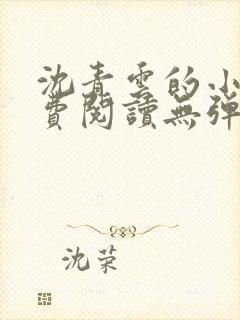 沈青云的小说免费阅读无弹窗