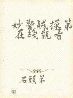 妙警贼探第五季 在线观看