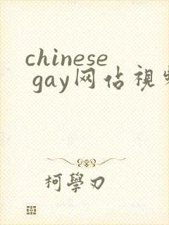 chinese gay网站视频