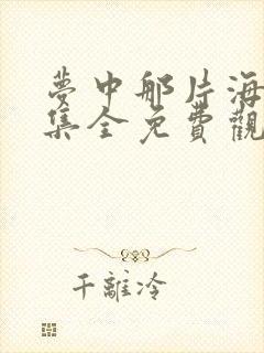 梦中那片海40集全免费观看电视剧西瓜