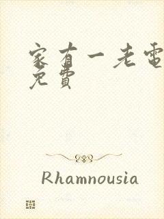 家有一老电视剧免费