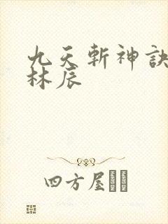 九天斩神诀免费林辰
