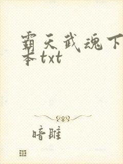 霸天武魂下载全本txt