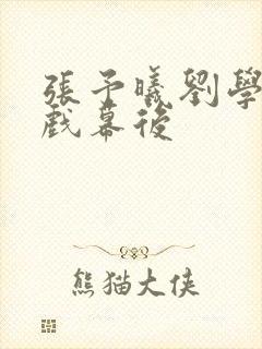 张予曦刘学义吻戏幕后