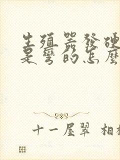 生殖器发硬以后是弯的怎么办