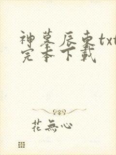 神墓辰东txt完本下载