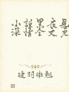 小说黑夜见过他深情全文免费阅读封面