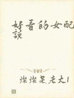 好看的女配文小说封面