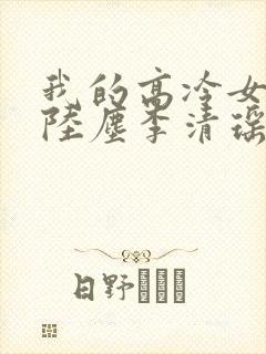 我的高冷女总裁陆尘李清瑶小说