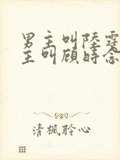 男主叫陆霆骁女主叫顾时念的小说封面