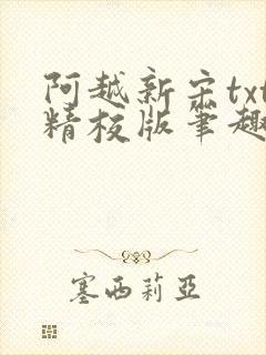阿越新宋txt精校版笔趣阁