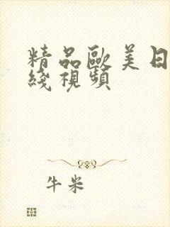 精品欧美日韩在线视频