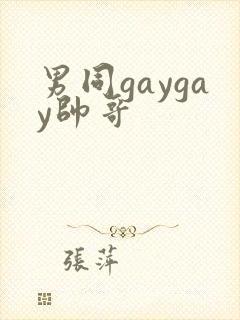 男同gaygay帅哥