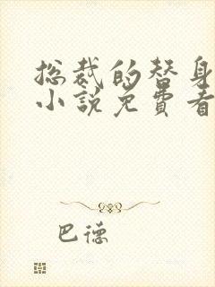 总裁的替身前妻小说免费看封面