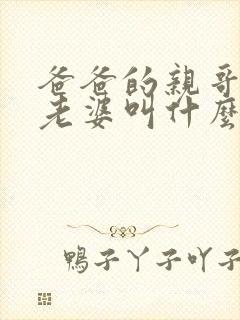 爸爸的亲哥哥的老婆叫什么