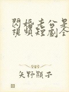 闪婚老公是总裁视频短剧全集