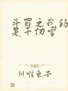 斗罗之我的老婆是千仞雪封面