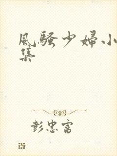 风骚少妇小说全集