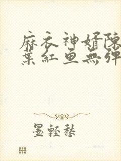 麻衣神婿陈黄皮叶红鱼无弹窗