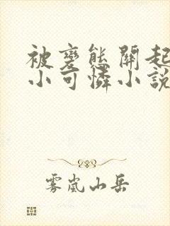 被变态关起来的小可怜小说