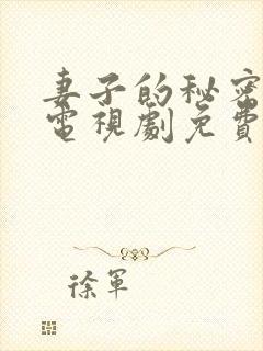 妻子的秘密韩国电视剧免费完整观看