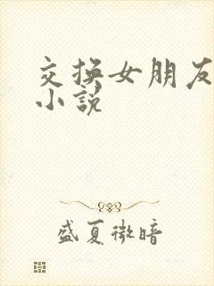 交换女朋友做爰小说