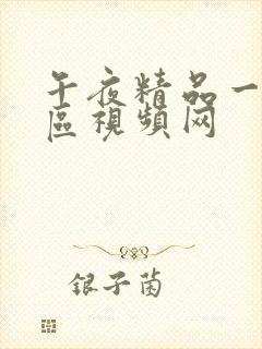 午夜精品一区二区视频网封面